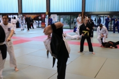 img_1119_45092566325_o