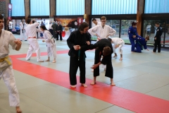 img_1120_45279959254_o