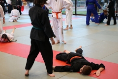 img_1121_45092567325_o