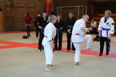 img_1146_46003936011_o