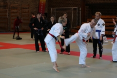 img_1148_46003937001_o