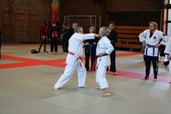 img_1150_45279968464_o