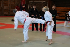 img_1153_45092583465_o