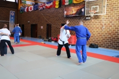 img_1161_32133230368_o