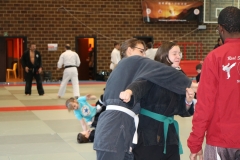 img_1169_32133231118_o