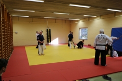 img_1225_31065059897_o