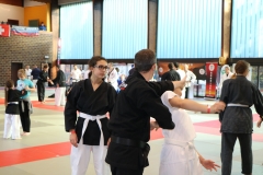 img_1251_45092615825_o