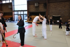 img_1342_32133286448_o