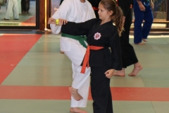 img_0887_32133187968_o