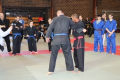 img_0902_46003885741_o