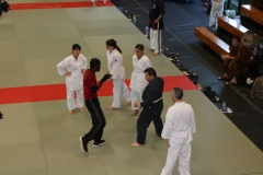 img_0916_45092527815_o