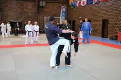 img_0953_44188150990_o
