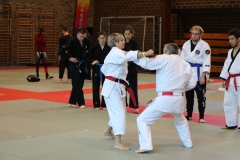 img_1147_46003936581_o