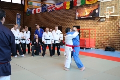 img_1155_32133229768_o